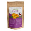 caj-flex-2025.jpg