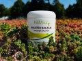 hillivital-nahlad-master-balzam-1-final.jpg