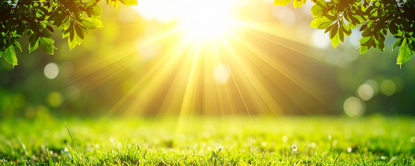 Pierwsze promienie: Dlaczego wiosenne słońce jest groźniejsze, niż myślisz?